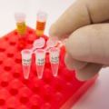 Real-Time PCR      