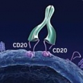 Obinutuzumab:   rituximab?