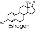 -       tamoxifen     