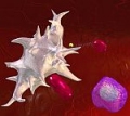 Ezetimibe, Simvastatin  Niacin -   