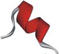   HCV     HCV  HIV