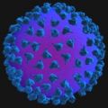   ,   HIV    