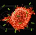           -HIV 