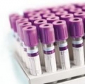 Pegloticase        