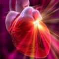 Ранната менопауза е свързана с повишен сърдечносъдов риск